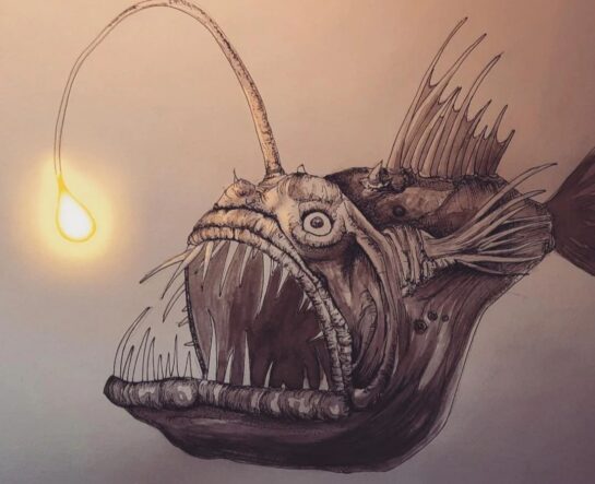 angler fish 2 new