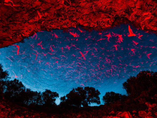 brecken cave 2