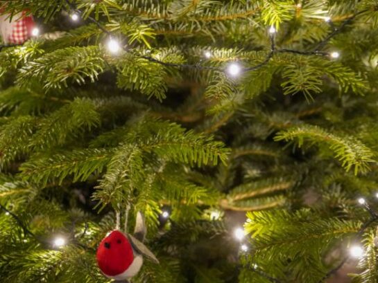christmas tree 2 New