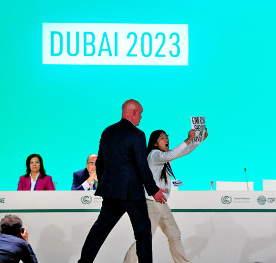 cop28 1
