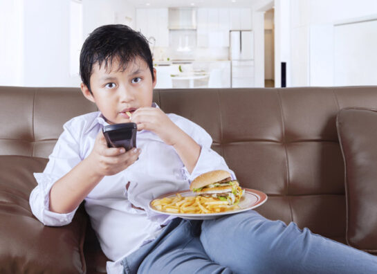 junk food 2