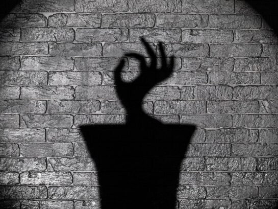 shadow 2